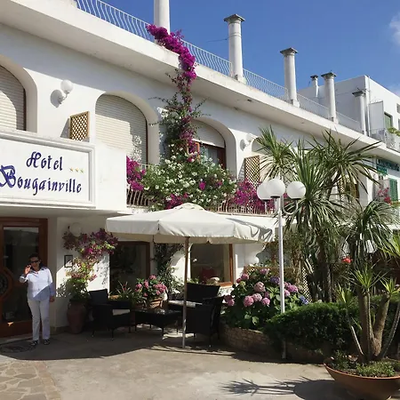 Capri Bougainville